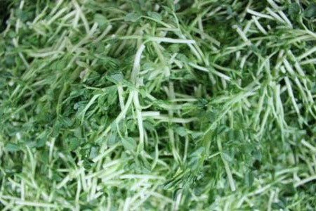 Organic Dou Ya Miao